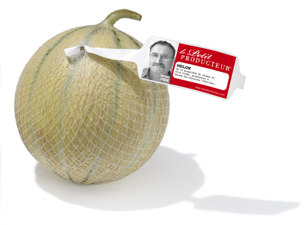 Le melon charentais jaune est de retour !