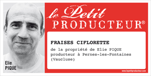 Retrouvez Elie et Jaime PIQUE, producteurs de fraises à Pernes-les-Fontaines (Vaucluse)